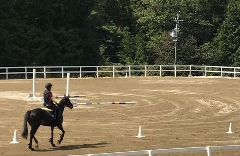 乗馬クラブエクイヴィラのメイン画像